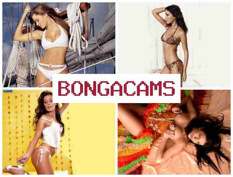 BOHGA CAMS 🆒 Sis Porn & Bimbo Porn