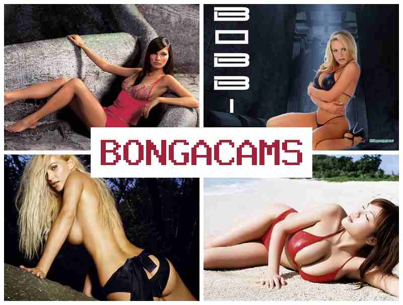 BOJGA CAMS 👠 Webcam Website & Slut Moms Porn
