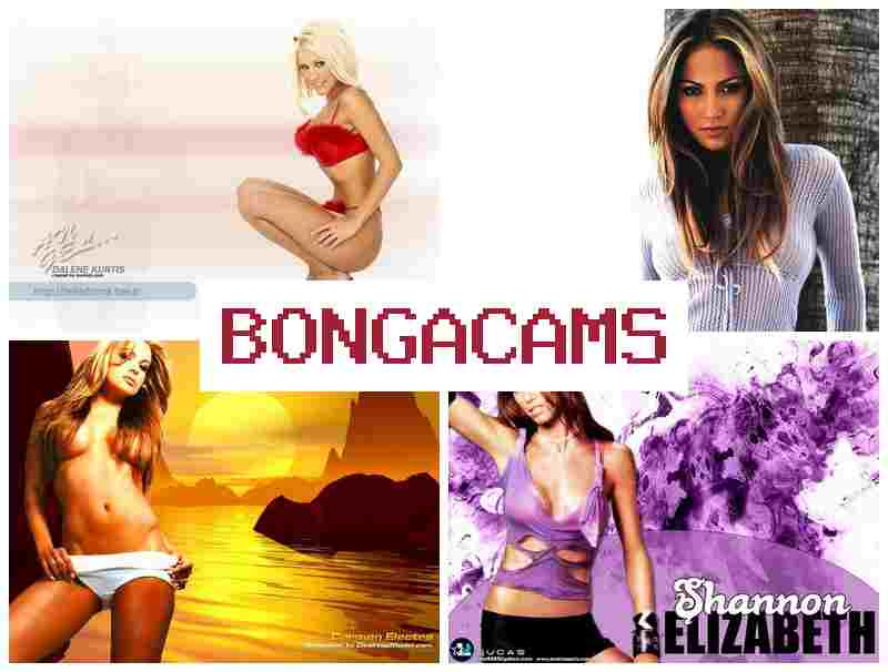 BONGA VAMS 💛 Black Slut Porno & Webcam Sex Sliv BONGA VAMS 💛 Black Slut Porno & Webcam Sex Sliv