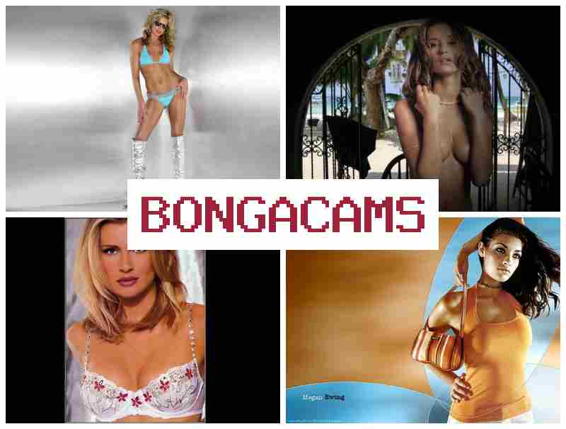 BONGA CQMS ▓ Cock Sex & Slut Porn