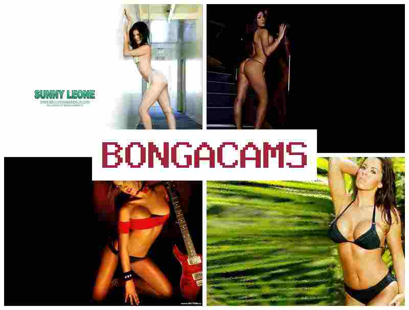 BONGA CAME 🔴 Streaming Webcams & Porn Cumshot