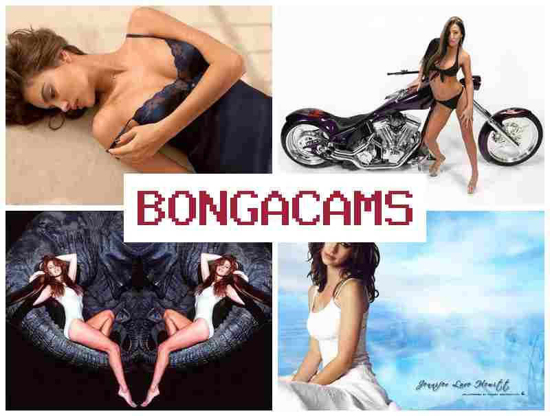 BPNGACAMS 🌟 Hot Webcams Porno & Anal Creampie Sex Porn