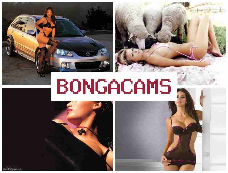 BKNGACAMS ᐉ Girlfriend Porn & Deepthroated COM Sex