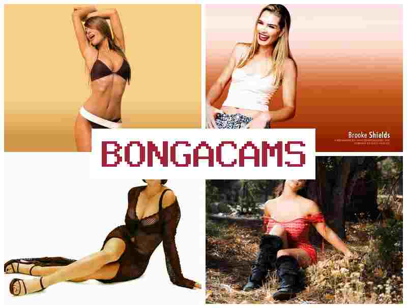 BOBGACAMS ☑️ Heart Porn & Webcam Pussy Sex