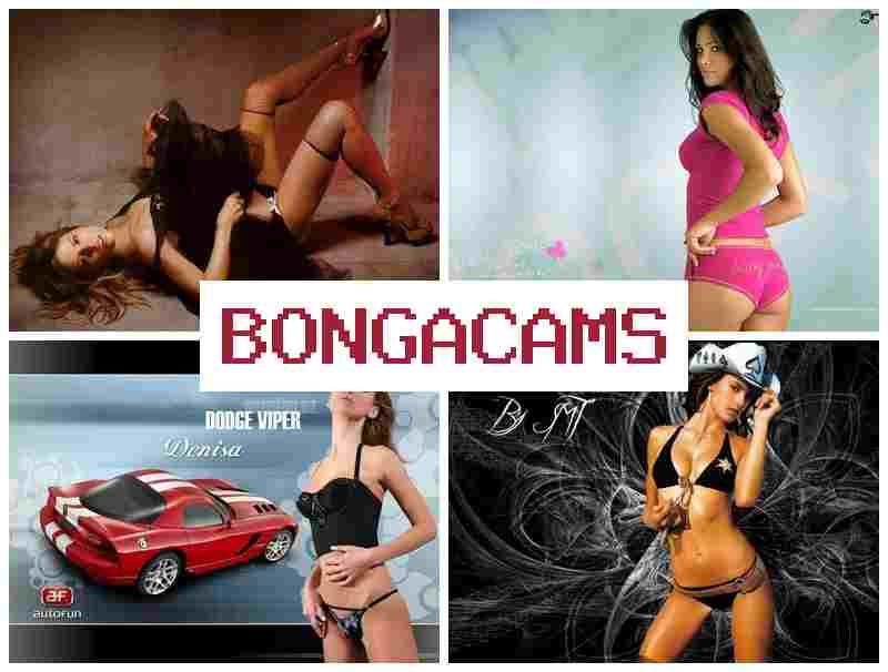 BONGQCAMS 🔵 Gay Sex Porn & Young Sisters Webcam