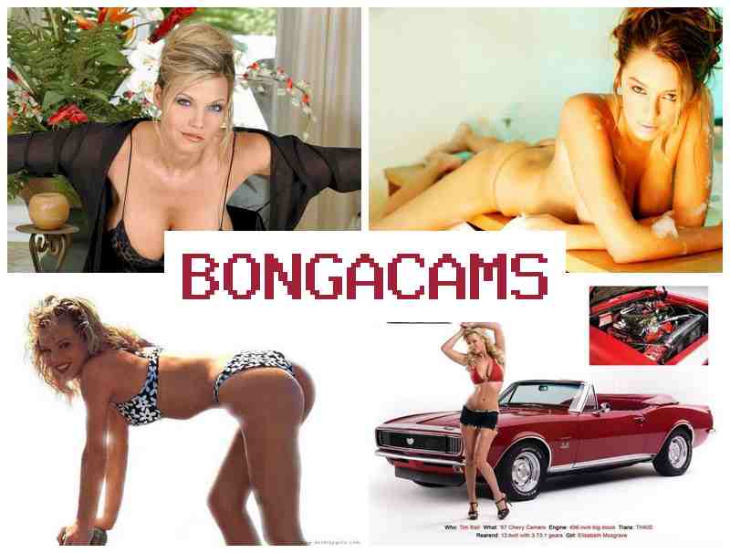 BONGACAKS 📺 HD Sex 2 Anal & Office Slut Porn