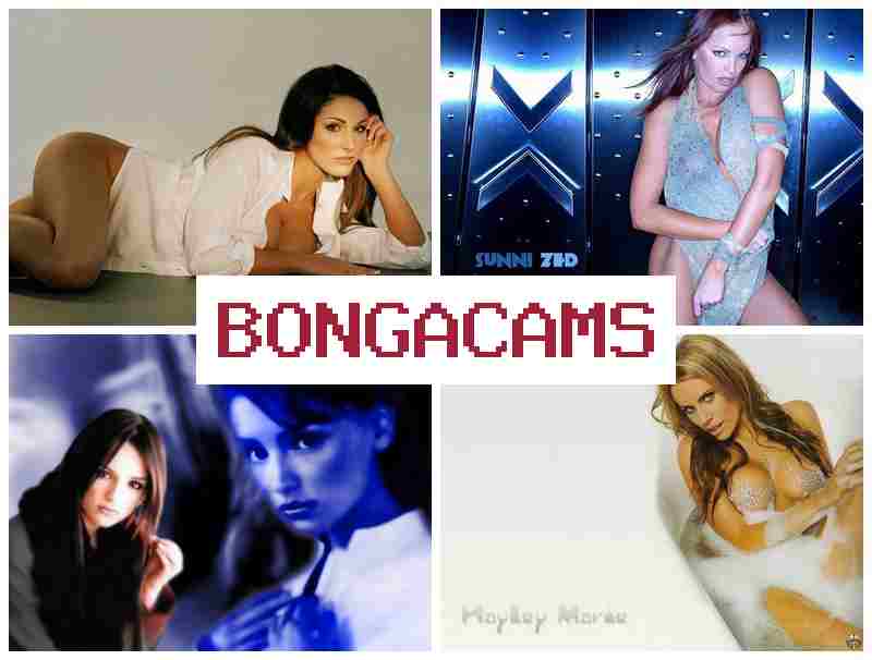 BONGACAMD 🌟 Ass Show Webcam Online & Playing Porn