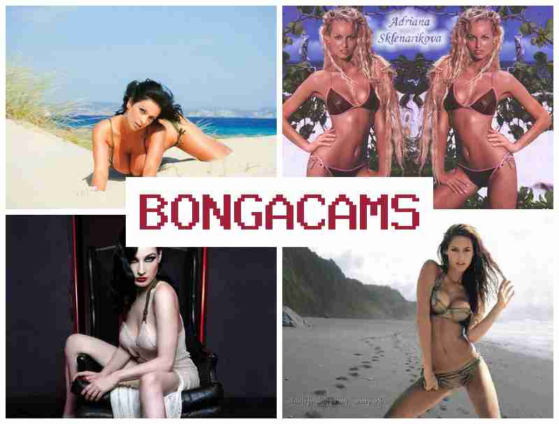 BONGA AMS 🔵 Sluts Love To Fuck & Hentai Porn