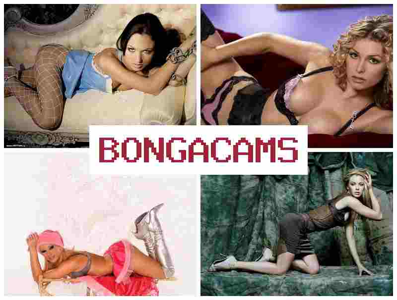 BONGA CMS 💘 Porn Face & Suck Porn
