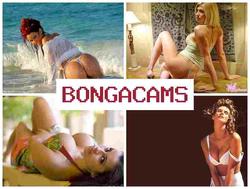 BONNGA CAMS 💙 Queen Porn & 30 Sex COM