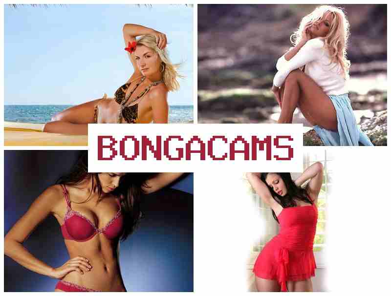 BONGA  CAMS 🆕 Bus Porn & 69 Porn