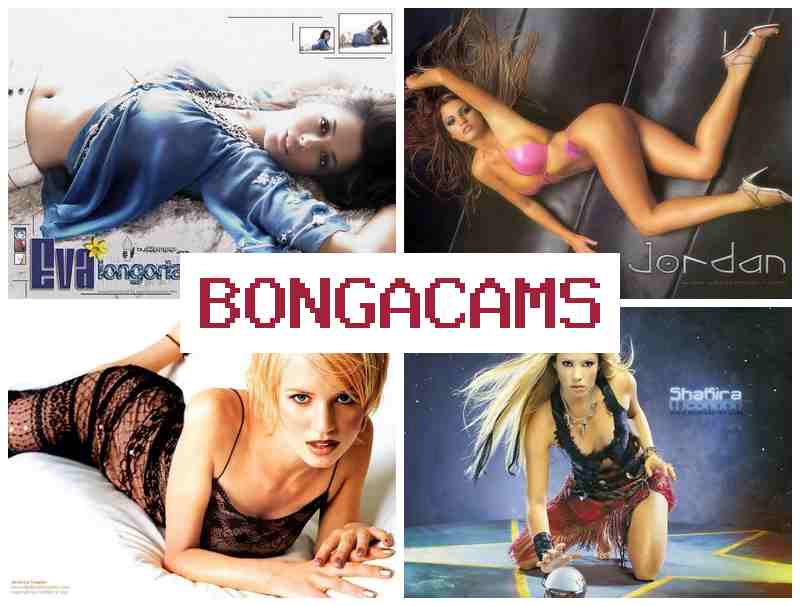 BONGA CAMSS 💖 Hijab Big Tits Sex & Homemade Porn