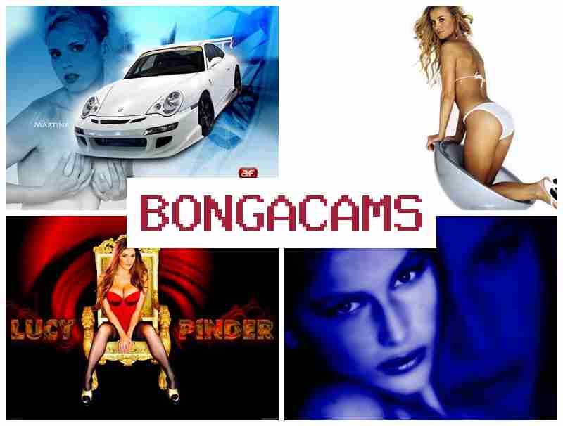 OBNGA CAMS 🆓 Film Sex Tailan & Stepping Porn OBNGA CAMS 🆓 Film Sex Tailan & Stepping Porn