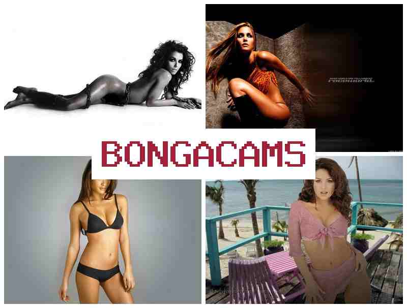 BNOGA CAMS 💝 Model Solo Masturbate, Webcam & Foxx Porn