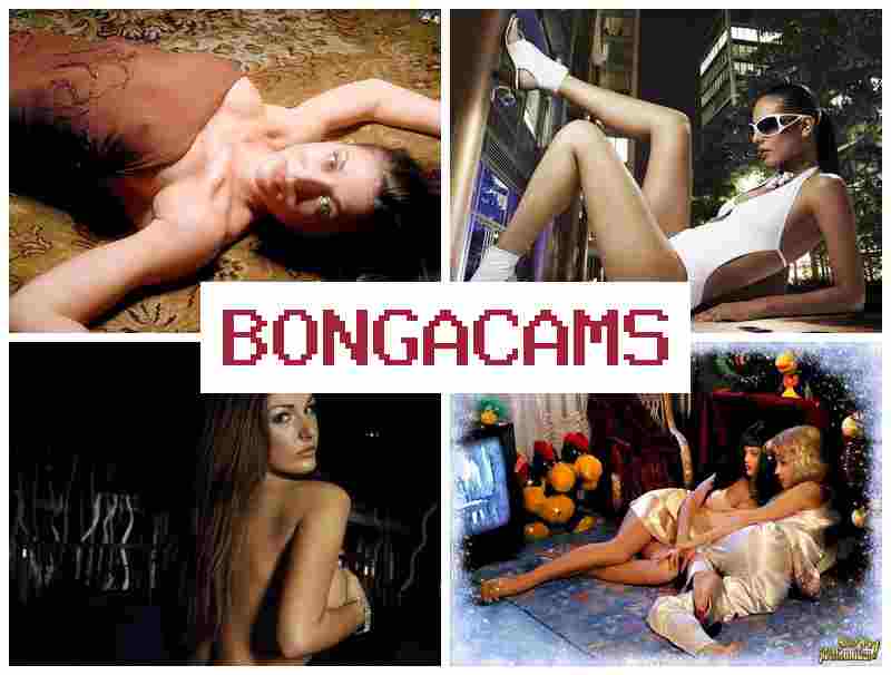 BONGAC AMS 💯 Gay Sex Porn & Destroy Slut
