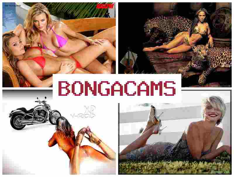 BONGA CMAS 🆕 Blowjob Oral Sex Porno & Mine Porn