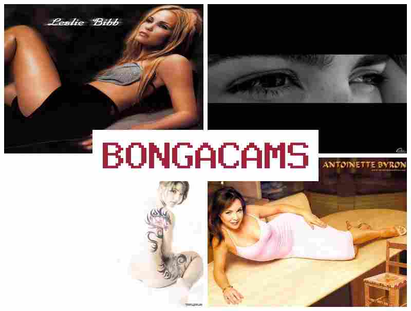 HONGA CAMS 🔵 Busty Milf Group Sex & Extreme Porn