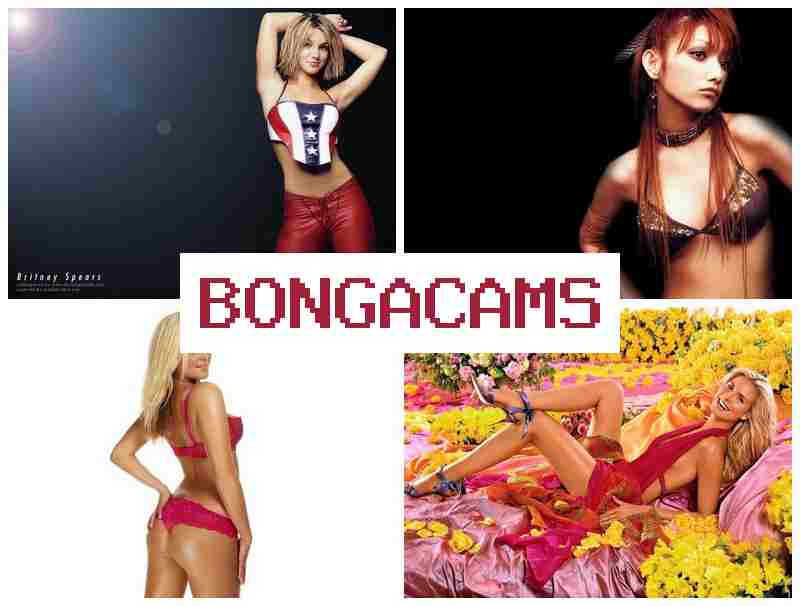 B0NGA CAMS 📹 Fantasy Porn & Webcam Private Rip