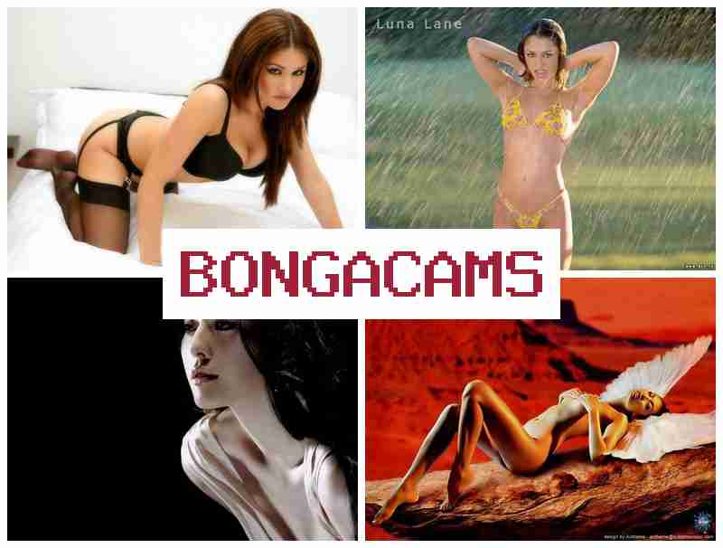 BPNGA CAMS 🔔 BBC Porn & Teen Dildo, Anal, Webcam Porno