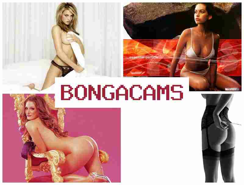 BOHGA CAMS 💟 Anal, Webcam Couple Porn & Big Tits Slut Blowjob