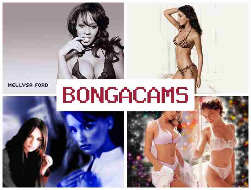 BONFA CAMS 📹 HD 720 Sex Milfs & Webcam Porno Doll