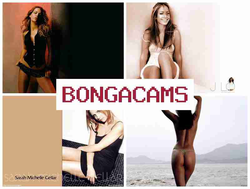 BONVA CAMS 😍 Chinese Sex & Trannies Porn