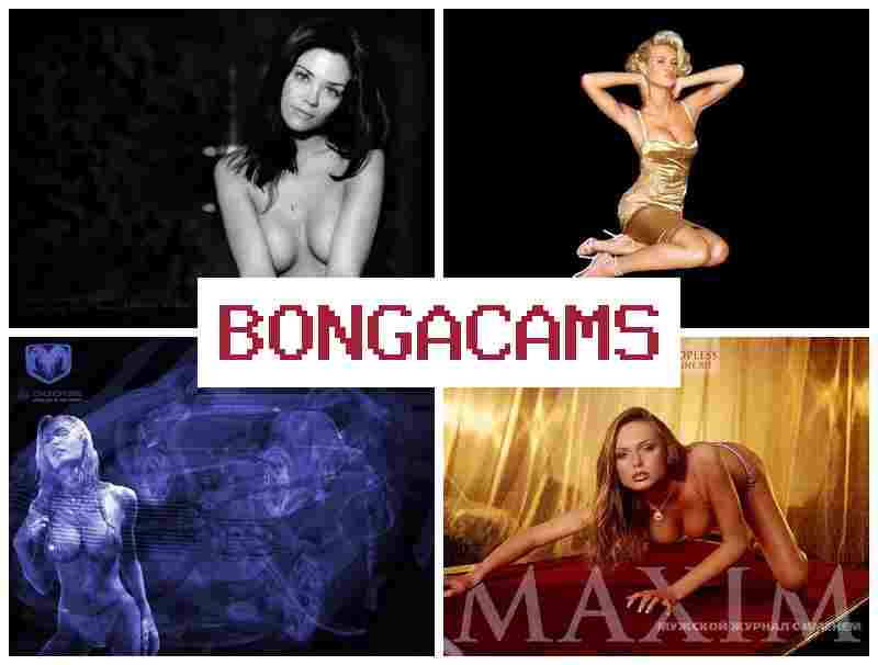 BONGS CAMS 💕 Genshin Impact Porn & Slut Love Cocks