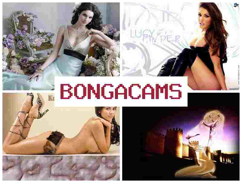 BONGZ CAMS 💖 Big Tit Slut Anal & Reid Porn
