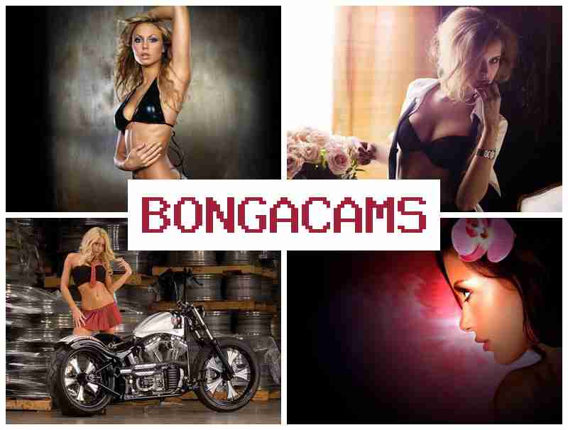 BONGA DAMS 💚 Cute Porn & Hairy Porn