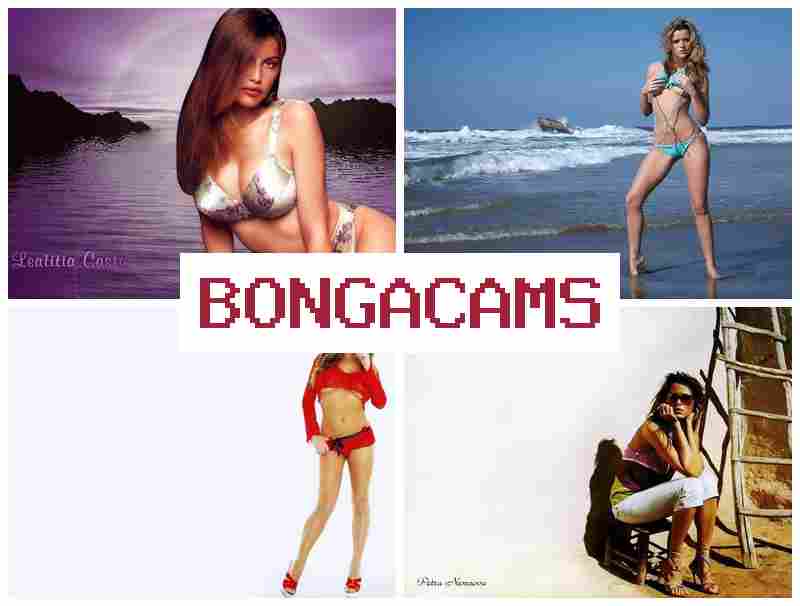 BONGA CQMS █ Webcam Video Telegram & Couple Webcams 18+