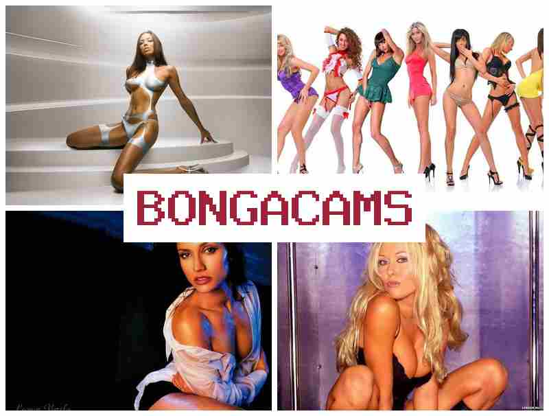 BONGA CWMS 💏 Free Sex Movies Hot Video & Go Porn