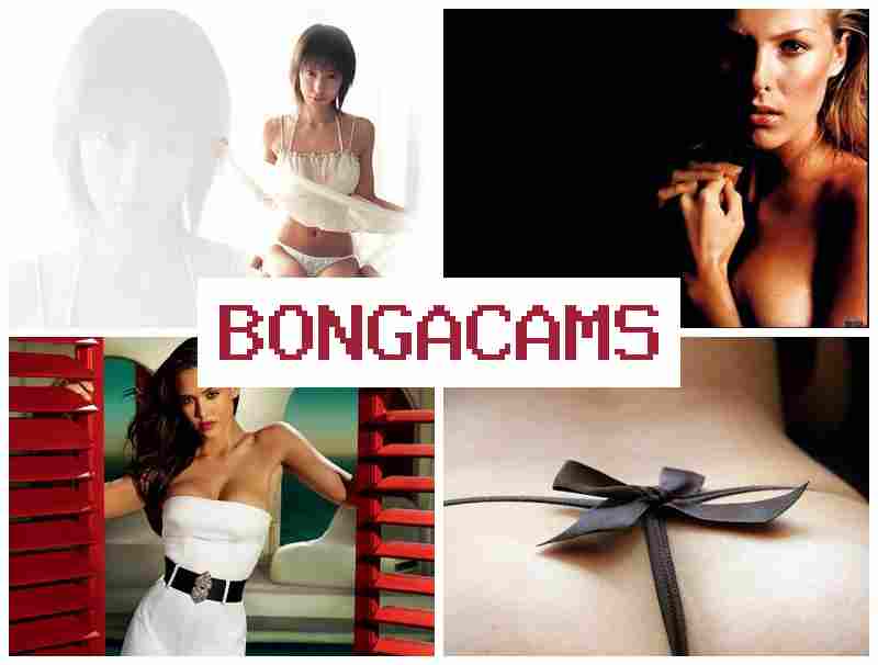 BONGAACAMS 👧 Wellcum Sex Webcam & Porn Net