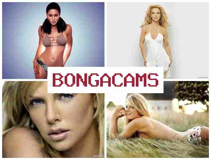 BONGA CAJS 🆒 Gay Boys Porn & German Sluts Porno