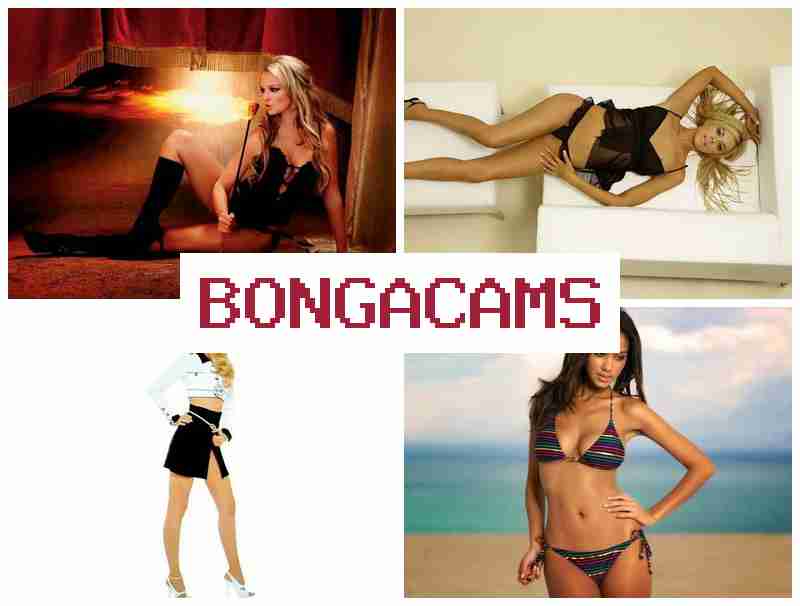 BONGA CAMX 🔶 These Sluts & Doggy Style Sex VK