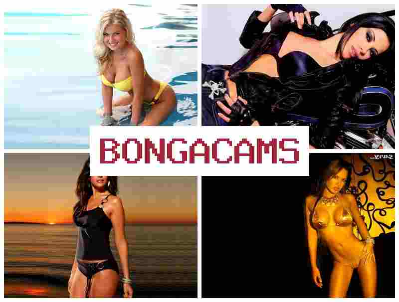 BONGACCAMS 🎥 Webcam Models, Board Sexy Webcam Girls Videos & Russian Slut Wife
