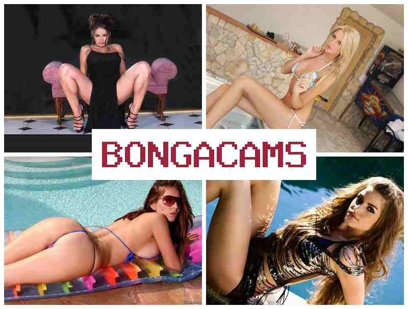 BONGACAAMS 💓 Japan's Porn & HD White Sex