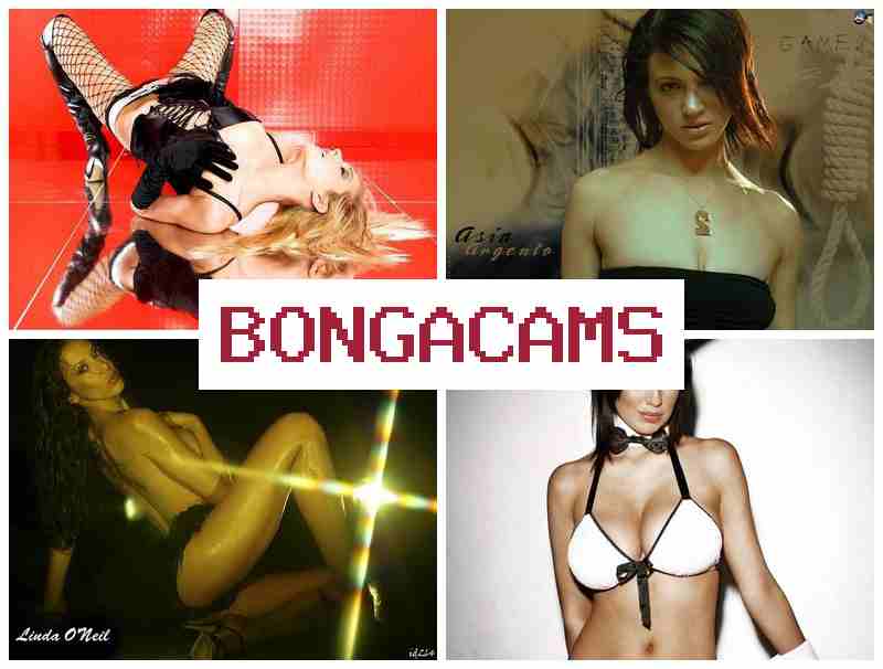 OBNGACAMS 🆓 Girl, Webcam Foto Forum & Webcam Porno Video Asian