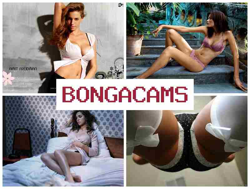 BONGACMAS ๐ Full Teen Webcam & Swingers Webcam Videos BONGACMAS ๐ Full Teen Webcam & Swingers Webcam Videos