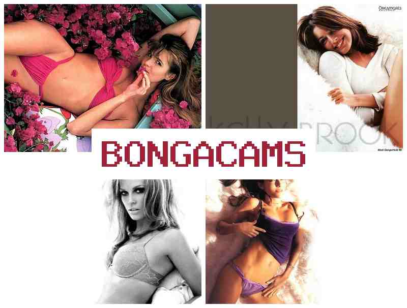 BONGACASM 👧 Tube Big Webcam & Carry Light Sex Free