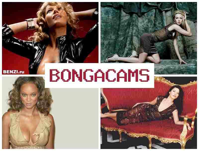 NONGACAMS 🆓 Webcam Free Entry & Total Slut