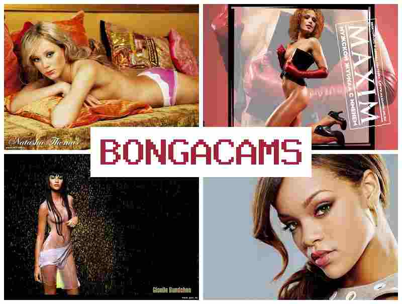 B0NGACAMS 💏 Slut Inspection & Pawg Big Ass, Webcams