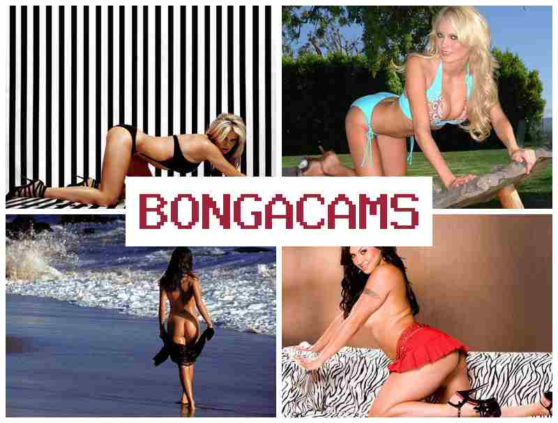 BKNGACAMS 💛 Hot Big Ass Slut & Anal Cum Sluts