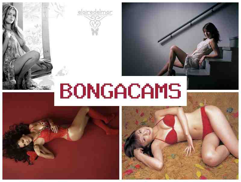 BOBGACAMS 🔞 Porno Fat Slut & Best Porn Slut