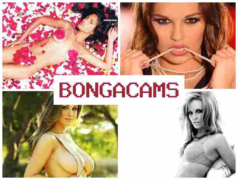 BOJGACAMS ♥ Teens Sluts Fucking & Little Pussy, Webcam Porn