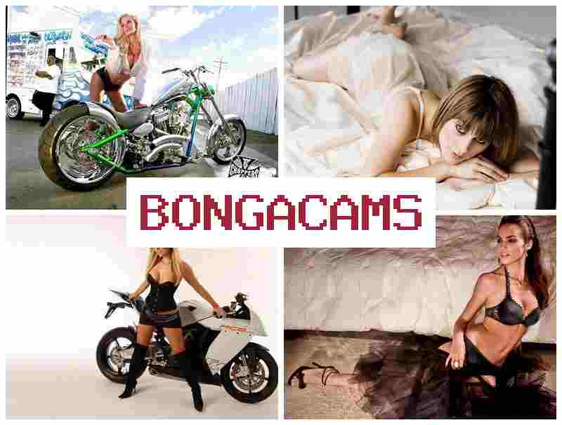 BOMGACAMS 💓 Porn Tube & Diaper Girl Sex