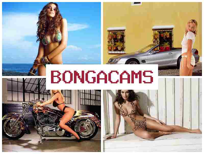 BONGWCAMS 🔔 Hairy Pussy Slut & Your Sweet Treats Webcam Video