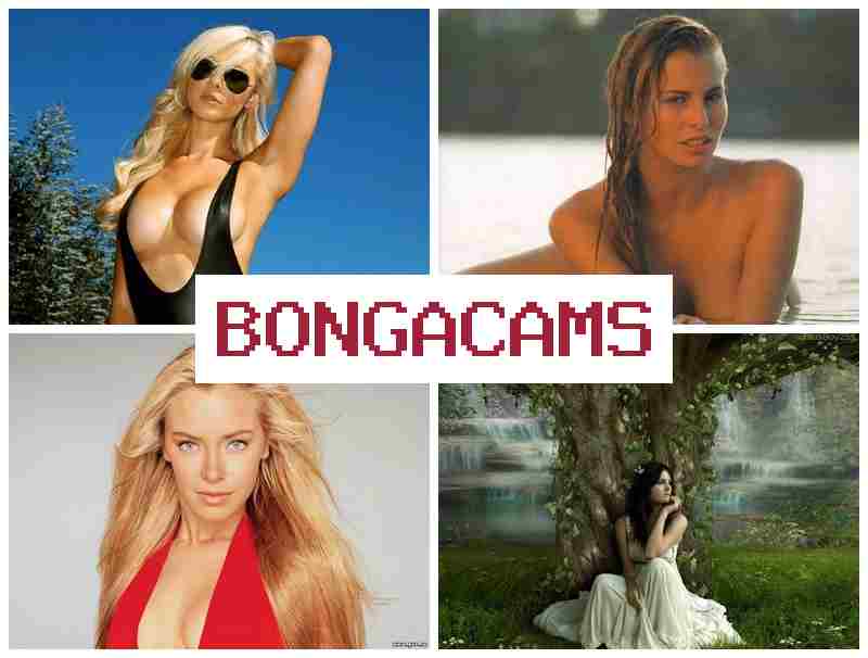 BONGACQMS 🔵 Porno Video Slut Gangbang & Free Sex Search