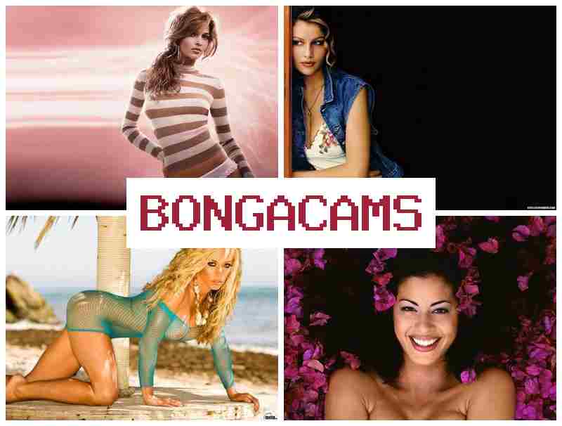 BONGACAJS 💛 Free Sex Films & BDSM Sex 18+