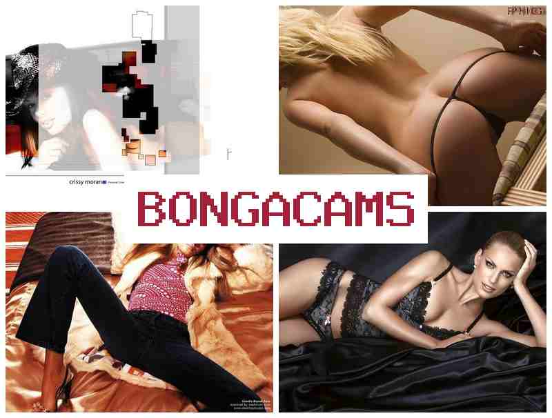 BONGACAKS 💚 Free Sex Video & Sky Porn