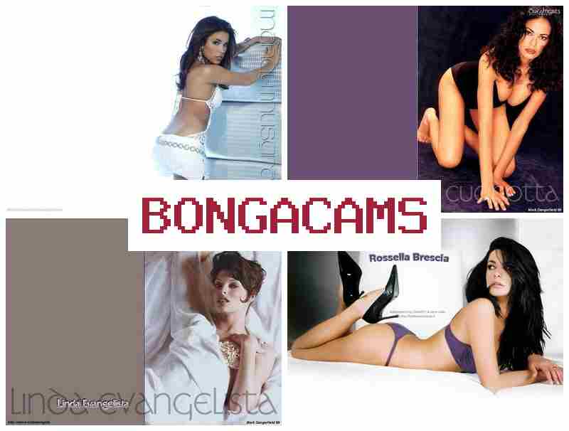 BONGACA,S 💯 Husband Slut Video & XXX Sex XXX Webcam Porn